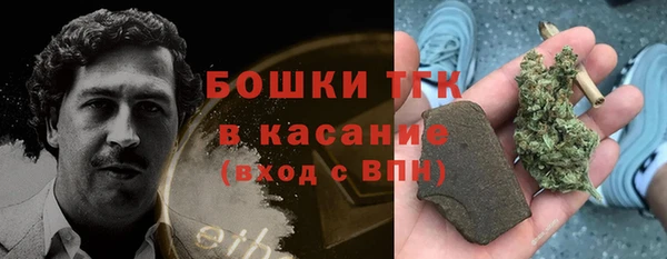 сатива Абинск
