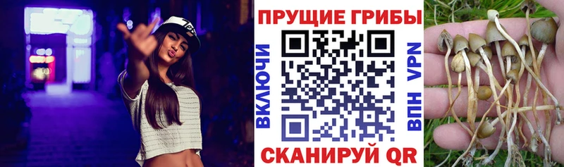 Галлюциногенные грибы Magic Shrooms  Кострома 