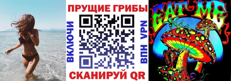 Псилоцибиновые грибы Cubensis Кострома